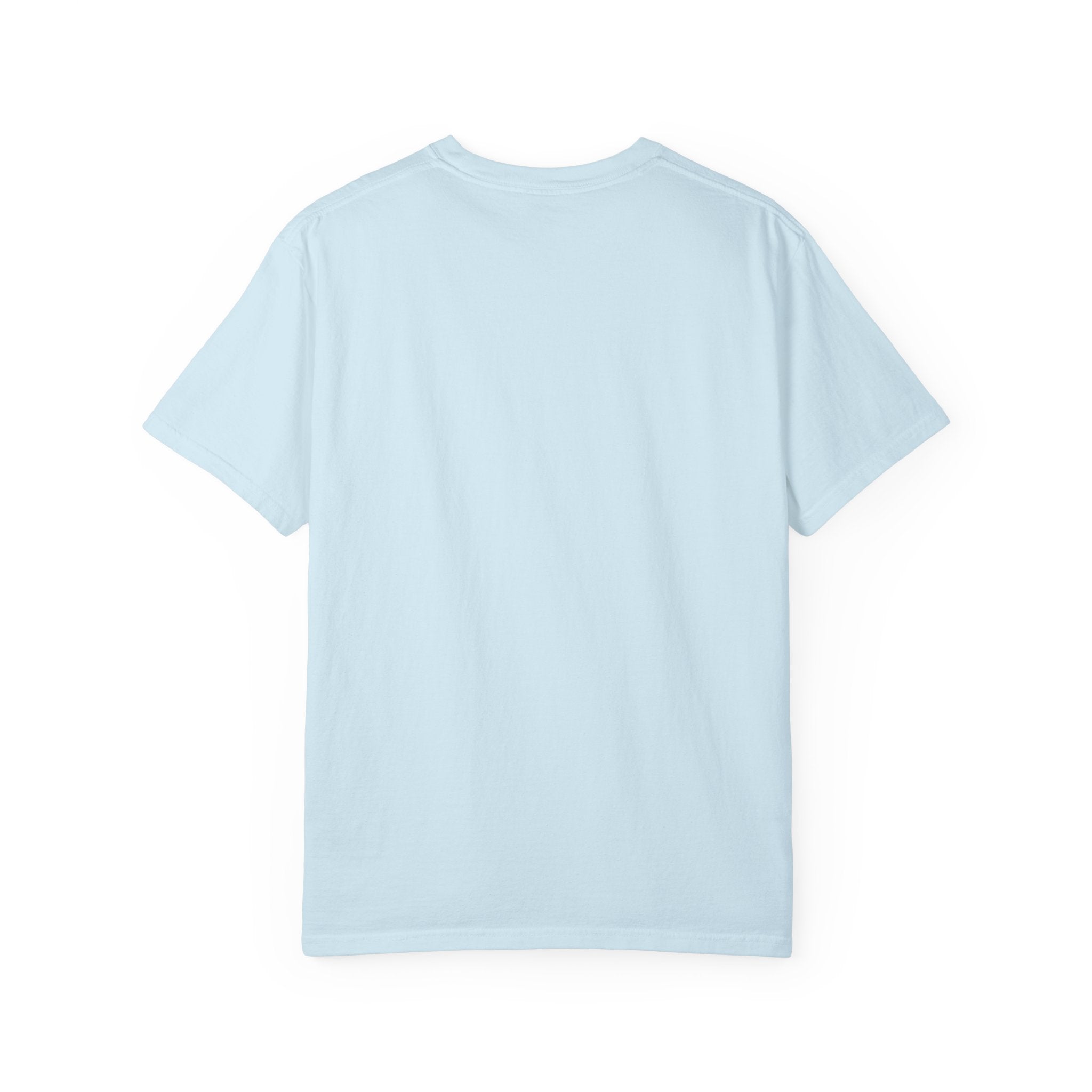 T-Shirt — "Things I Should Have Said" 2007 Brain & Beakers Graphic Tee