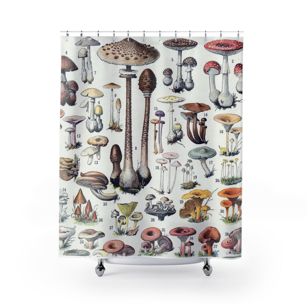 Mushroom Shower Curtain – Vintage Botanical Fungi Illustration Art
