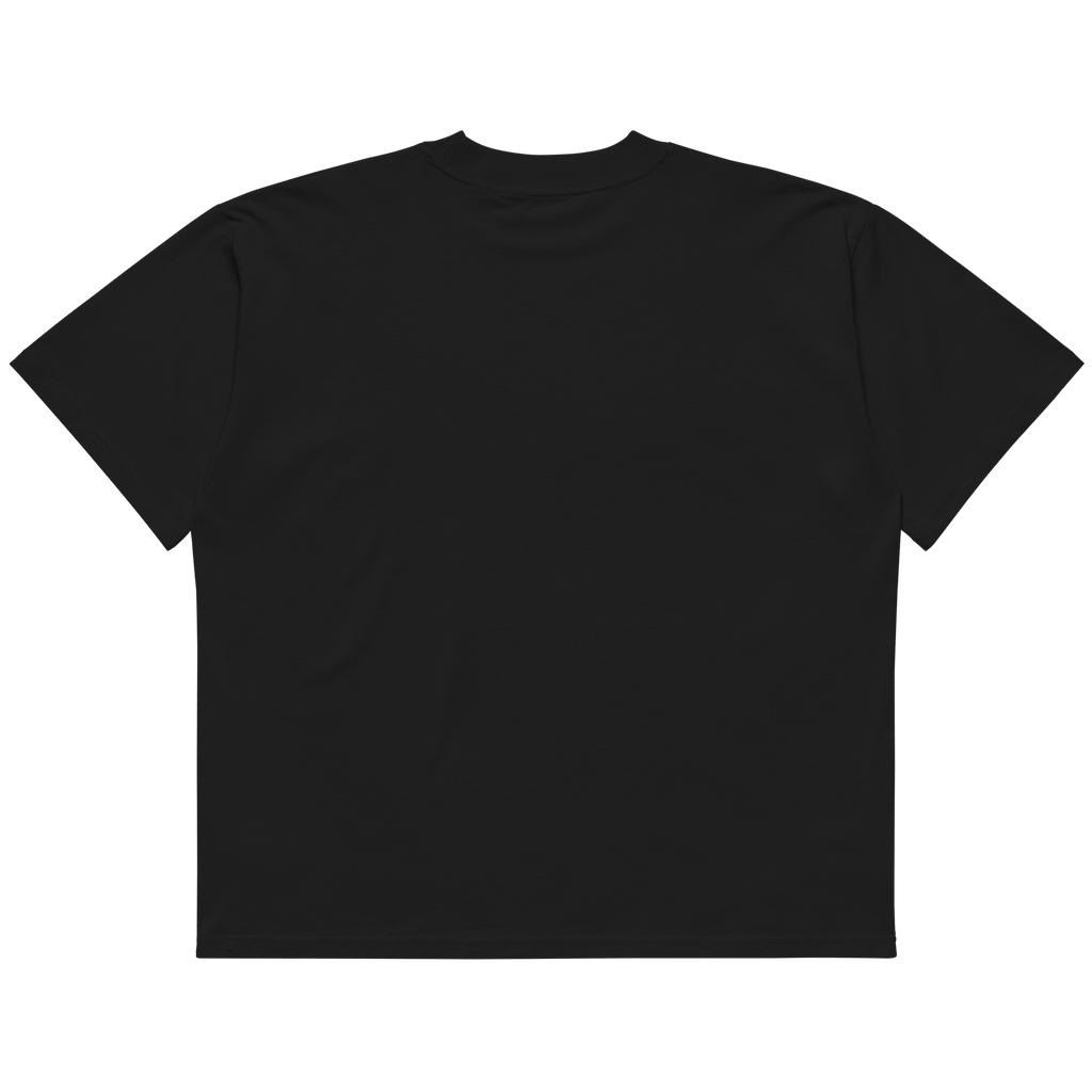 STS “Stay Hidden Stay Secure” Cybersecurity Oversized Organic High-Neck T-Shirt
