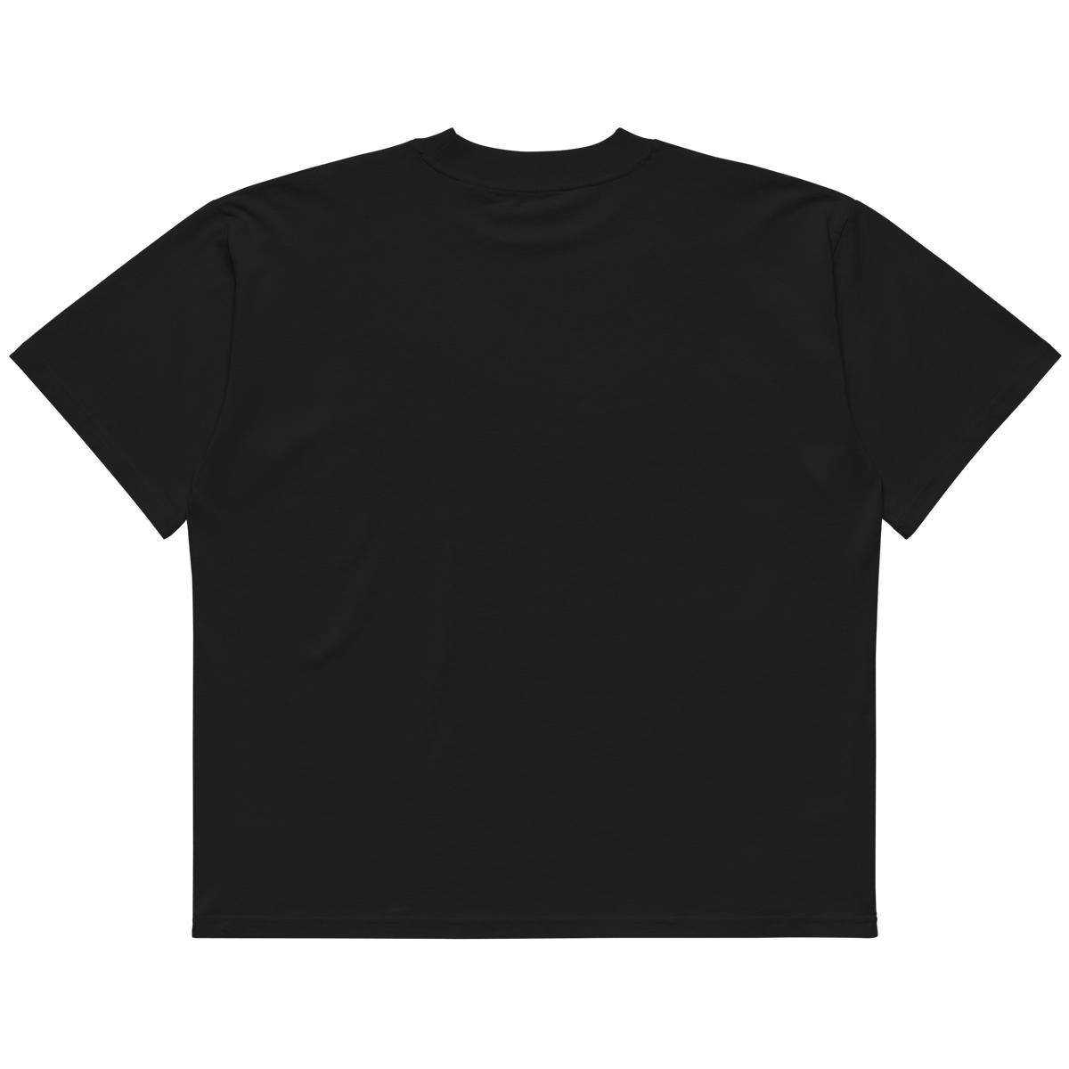 STS “Stay Hidden Stay Secure” Cybersecurity Oversized Organic High-Neck T-Shirt