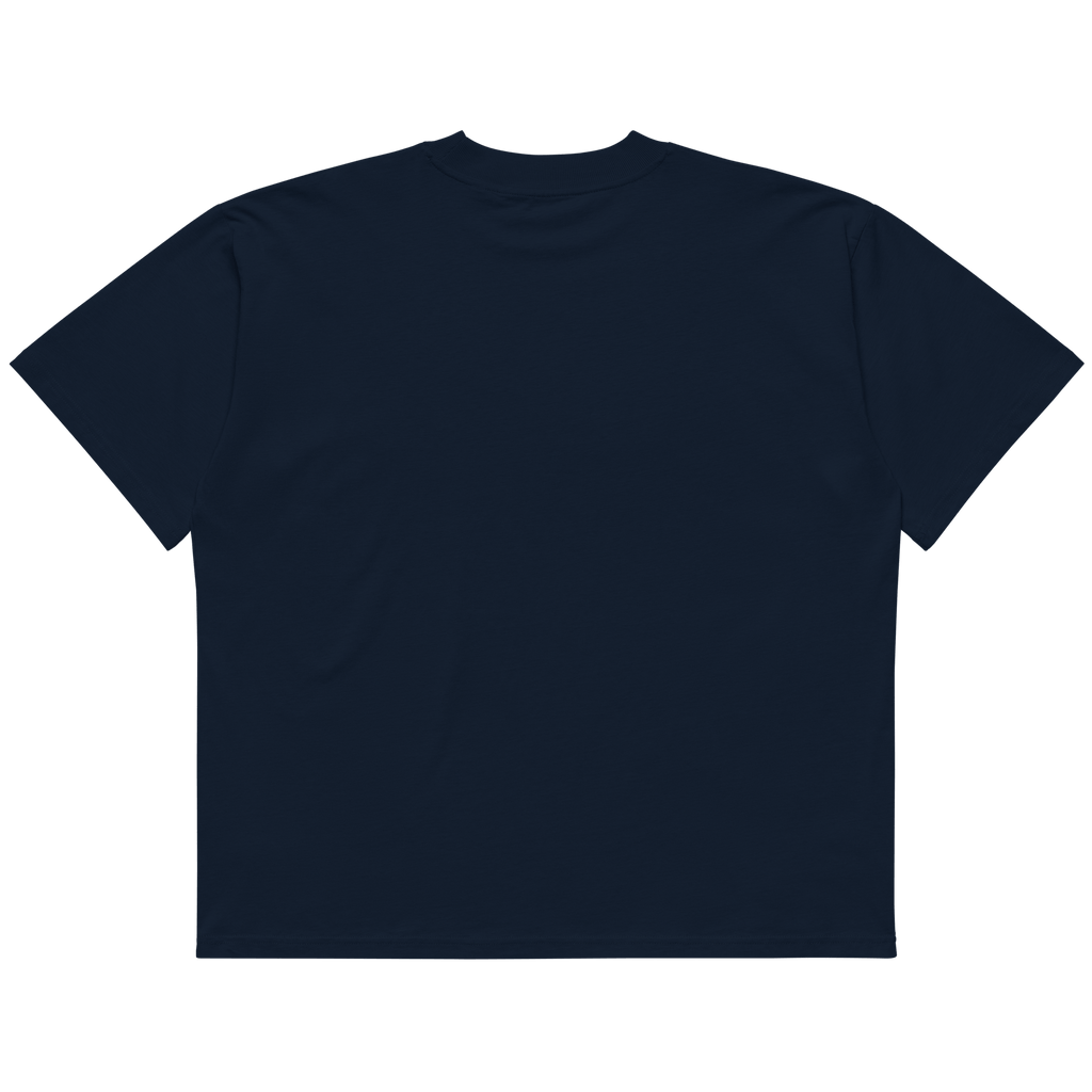 STS “Stay Hidden Stay Secure” Cybersecurity Oversized Organic High-Neck T-Shirt