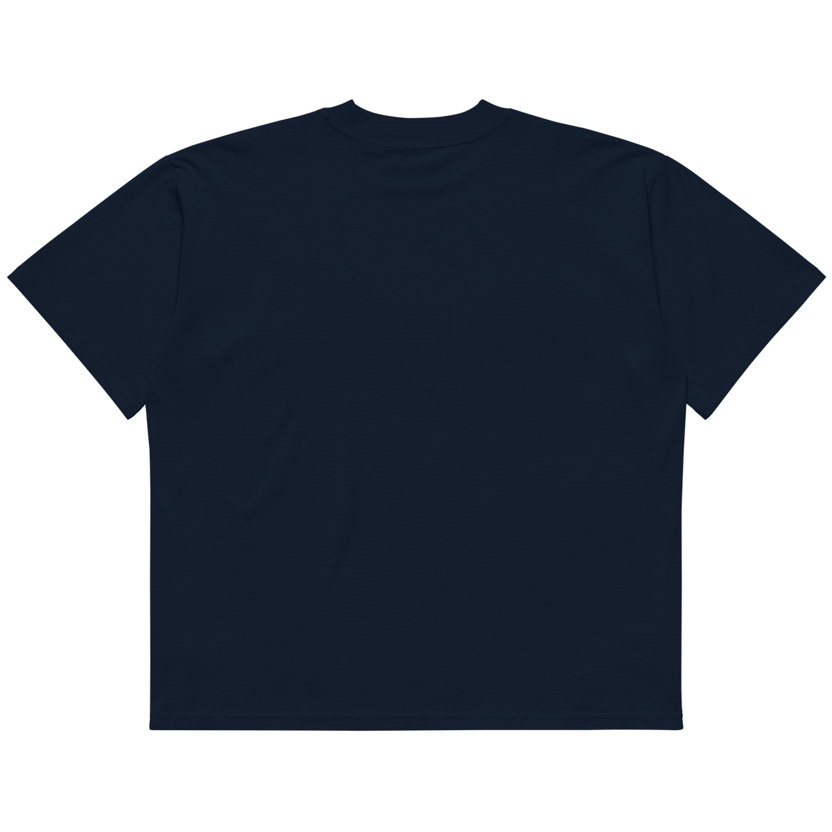 STS “Stay Hidden Stay Secure” Cybersecurity Oversized Organic High-Neck T-Shirt