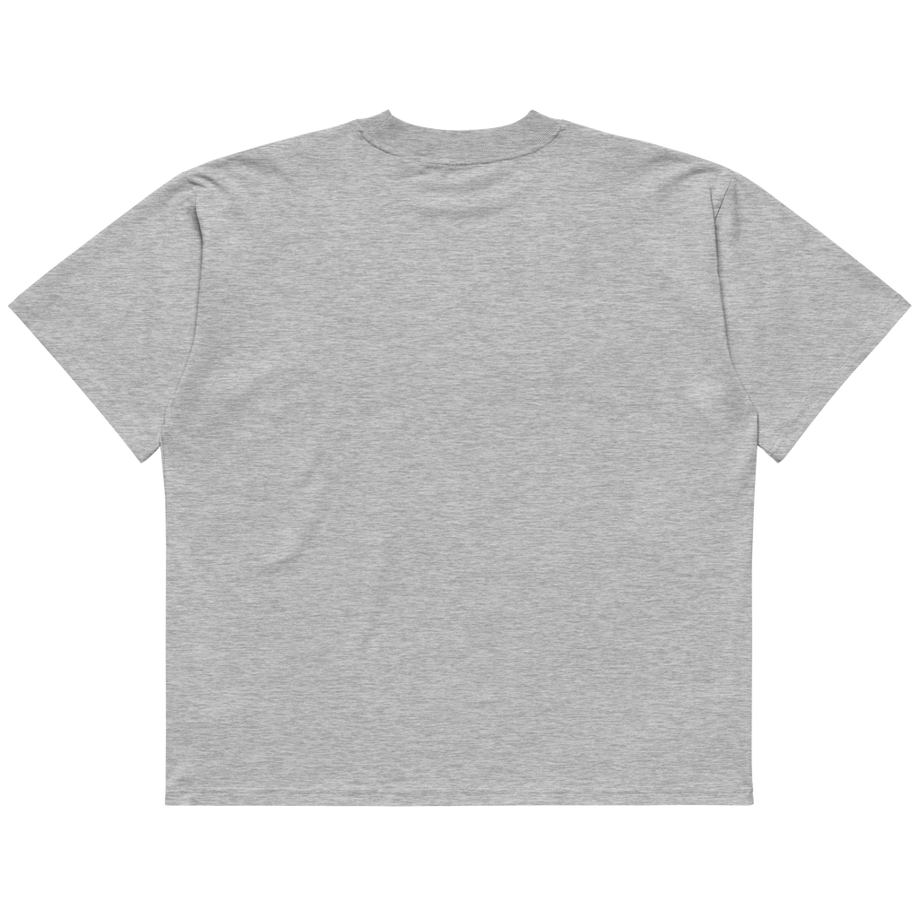 STS “Stay Hidden Stay Secure” Cybersecurity Oversized Organic High-Neck T-Shirt