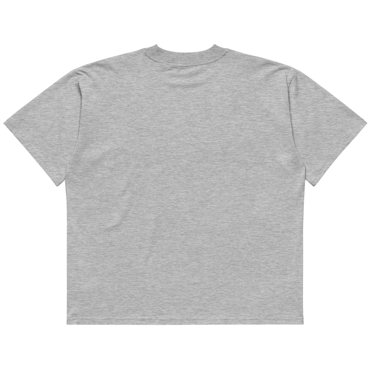 STS “Stay Hidden Stay Secure” Cybersecurity Oversized Organic High-Neck T-Shirt