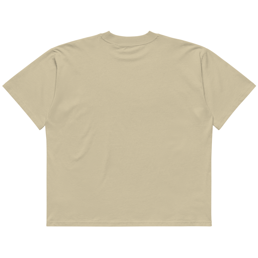 STS “Stay Hidden Stay Secure” Cybersecurity Oversized Organic High-Neck T-Shirt