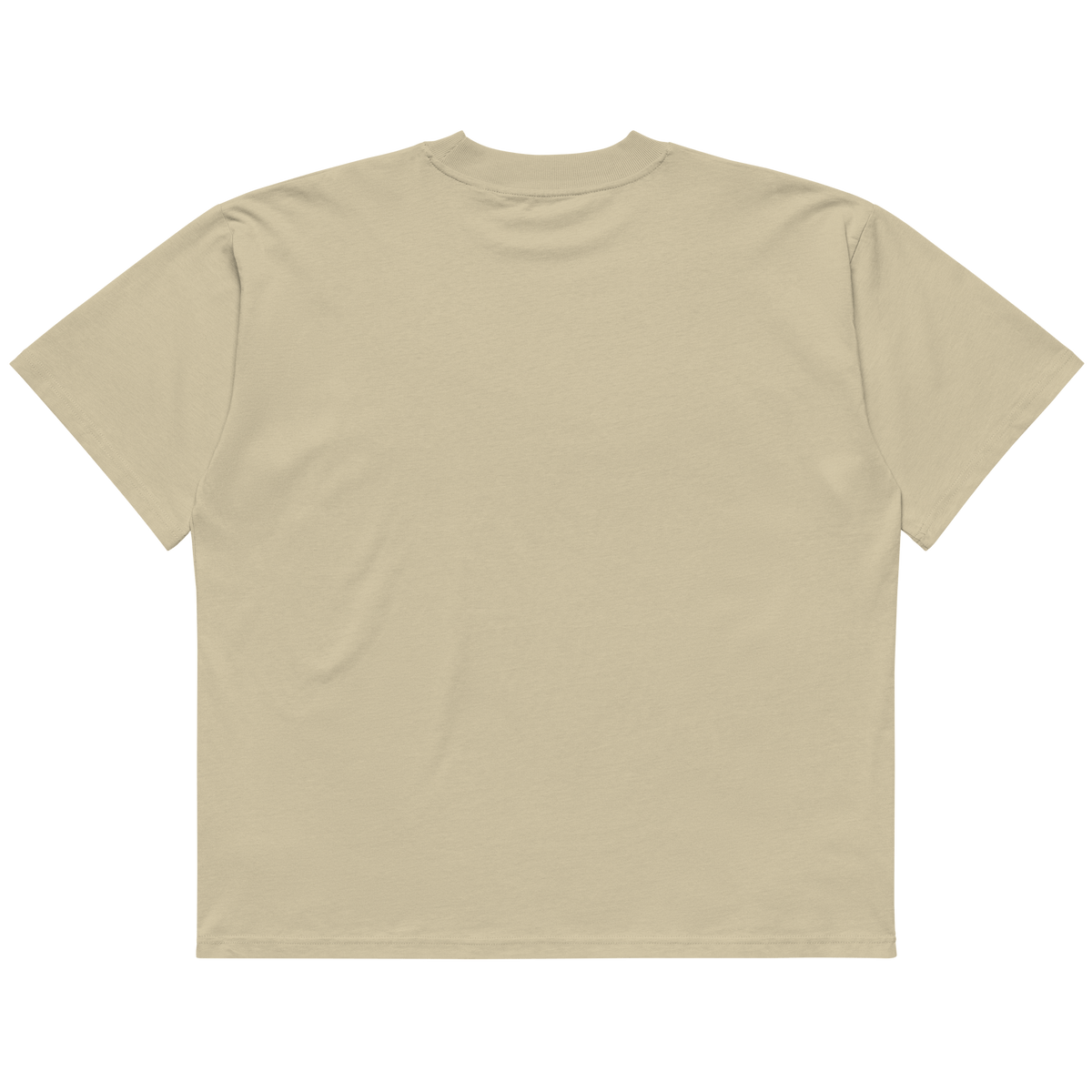 STS “Stay Hidden Stay Secure” Cybersecurity Oversized Organic High-Neck T-Shirt