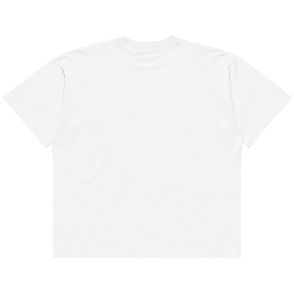 STS “Stay Hidden Stay Secure” Cybersecurity Oversized Organic High-Neck T-Shirt