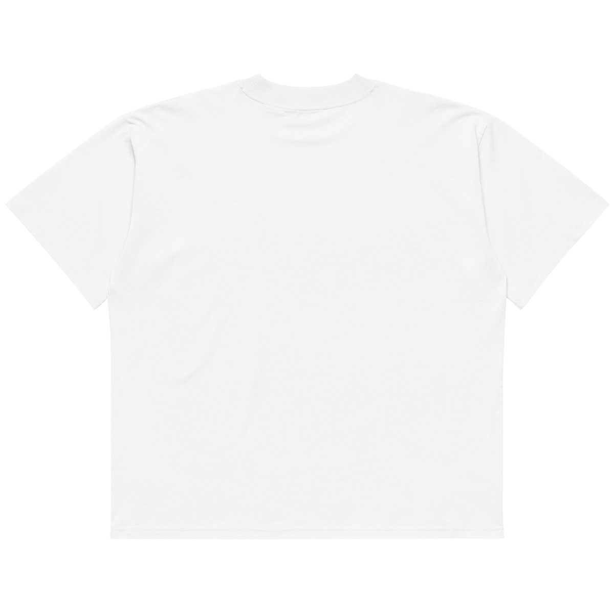 STS “Stay Hidden Stay Secure” Cybersecurity Oversized Organic High-Neck T-Shirt